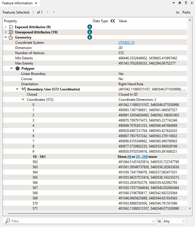 Geometry in the Feature Information Window